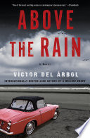 Above the rain : a novel /