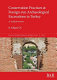Conservation practices at foreign-run archaeological excavations in Turkey : a critical review /