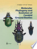 Molecular phylogeny and evolution of carabid ground beetles /