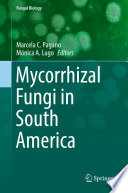 Mycorrhizal Fungi in South America /