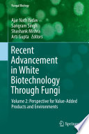 Recent Advancement in White Biotechnology Through Fungi : Volume 2: Perspective for Value-Added Products and Environments /