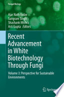 Recent Advancement in White Biotechnology Through Fungi : Volume 3: Perspective for Sustainable Environments /