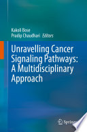 Unravelling Cancer Signaling Pathways: A Multidisciplinary Approach /