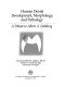 Human dental development, morphology, and pathology : a tribute to Albert A. Dahlberg /
