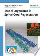 Model organisms in spinal cord regeneration /