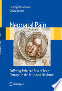 Neonatal pain : suffering, pain, and risks of brain damage in the fetus and newborn /