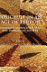 Foucault in an age of terror : essays on biopolitics and the defence of society /