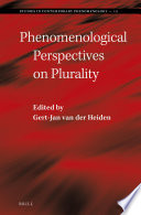 Phenomenological perspectives on plurality /