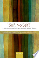 Self, no self? : perspectives from analytical, phenomenological, and Indian traditions /