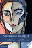 Consciousness and the self : new essays /