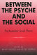 Between the psyche and the social : psychoanalytic social theory /