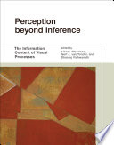 Perception beyond inference : the information content of visual processes /