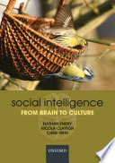 Social intelligence : from brain to culture /
