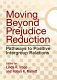 Moving beyond prejudice reduction : pathways to positive intergroup relations /