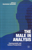 The male in analysis : psychoanalytic and cultural perspectives /