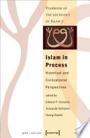 Islam in Process Historical and Civilizational Perspectives (Yearbook of the Sociology of Islam 7)