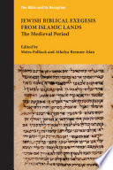 Jewish biblical exegesis from Islamic lands : the medieval period /