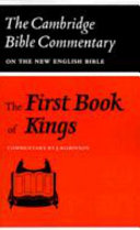 The first book of Kings /