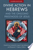 Divine action in Hebrews : and the ongoing priesthood of Jesus /