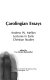 Carolingian essays : Andrew W. Mellon lectures in early Christian studies /