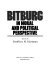 Bitburg in moral and political perspective /