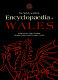 The Welsh Academy encyclopaedia of Wales /