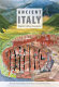 Ancient Italy : regions without boundaries /