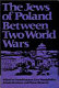 The Jews of Poland between two world wars /
