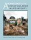 Archaeology and the cities of Asia Minor in late antiquity /