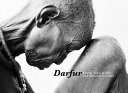 Darfur : twenty years of war and genocide in Sudan /
