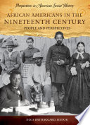 African Americans in the nineteenth century : people and perspectives /