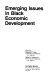 Emerging issues in Black economic development /