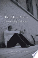 The cultural matrix : understanding Black youth /