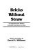 Bricks without straw : a comprehensive history of African Americans in Texas /