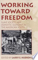 Working toward freedom : slave society and domestic economy in the American South /