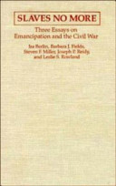 Slaves no more : three essays on emancipation and the Civil War /