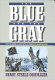 The Blue and the Gray : the story of the Civil War as told by participants /