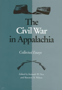 The Civil War in Appalachia : collected essays /