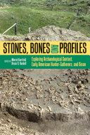 Stones, bones and profiles : exploring archaeological context, early American hunter-gatherers, and bison /