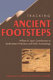 Tracking ancient footsteps : William D. Lipe's contributions to southwestern prehistory and public archaeology /