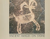 Ancient images on stone : rock art of the Californias /