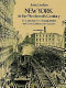 New York in the nineteenth century : 321 engravings from Harper's weekly and other contemporary sources /