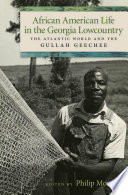 African American life in the Georgia lowcountry : the Atlantic world and the Gullah Geechee /