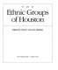 The Ethnic groups of Houston /