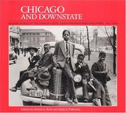 Chicago and downstate : Illinois as seen by the Farm Security Administration photographers, 1936-1943 /