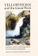 Yellowstone and the Great West : journals, letters, and images from the 1871 Hayden Expedition /