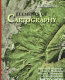 Elements of cartography /