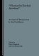 "What is the earthly paradise?" : ecocritical responses to the Caribbean /