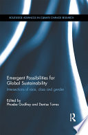 Emergent possibilities for global sustainability : intersections of race, class and gender /