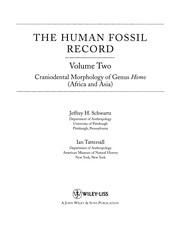 The human fossil record.